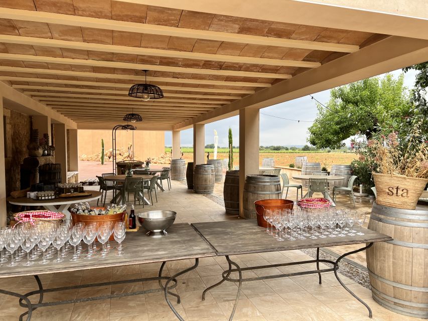 Palma: Orange Farm, Olive Mill, & Winery Tour with Tastings - Picnic Lunch and Food Flow: What You Eat Between Tastings