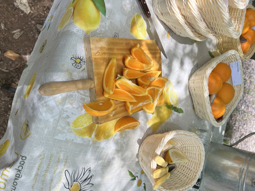 Palma: Orange Farm, Olive Mill, & Winery Tour with Tastings - Small Group Size and the Role of the Guide