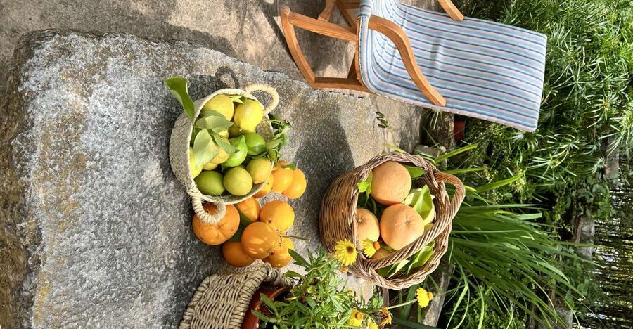 Palma: Orange Farm, Olive Mill, & Winery Tour with Tastings - Getting to the Tramuntana: Pickup, Timing, and How the Day Flows