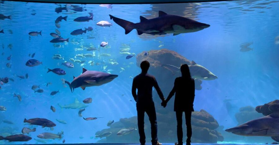 Palma: Palma Aquarium Ticket with Transfer Service - Palma Aquarium and the Transfer Bundle, What It Gets Right