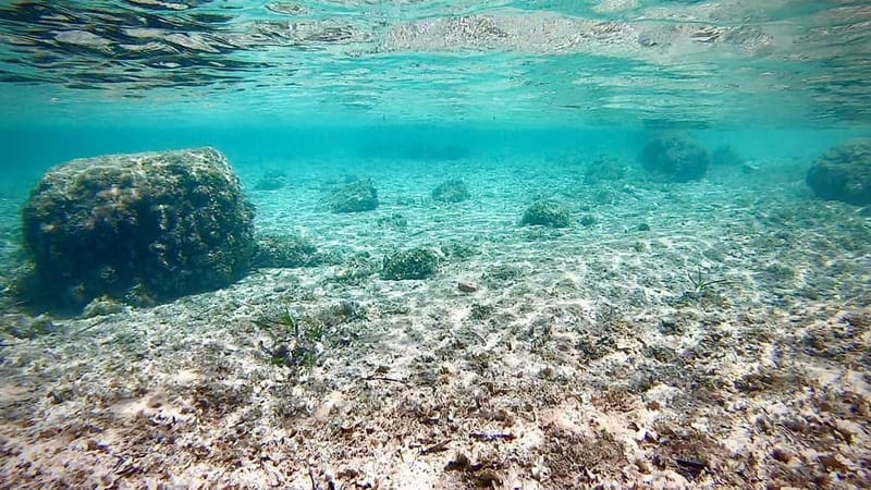 Palma: Private Boat Tour in Mallorca with Snorkel and Paddle - Practical tips that will save you time on marina day