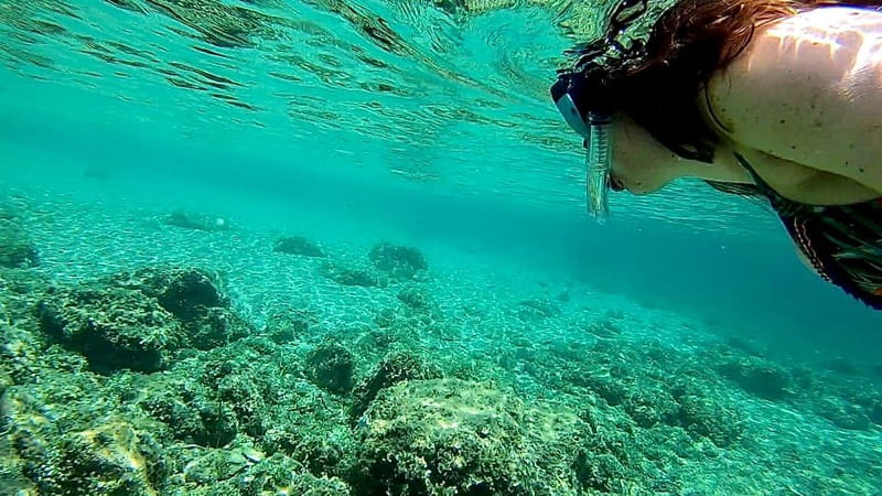 Palma: Private Boat Tour in Mallorca with Snorkel and Paddle - Snorkeling gear plus a real underwater camera, not just sightseeing photos