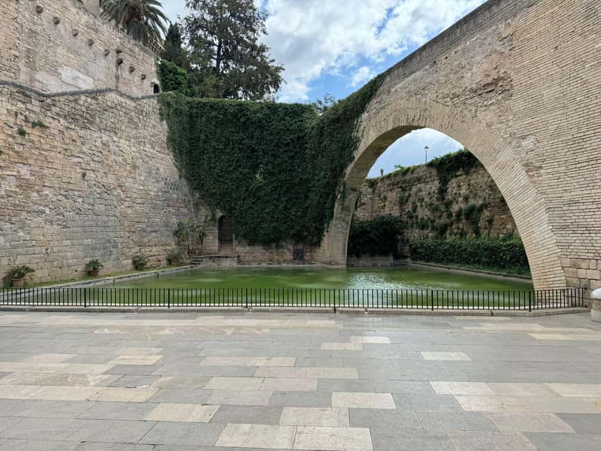 Palma Shore Excursion Bike Tour (Transfer Included) - Why Palma by bike feels easier when your time is limited