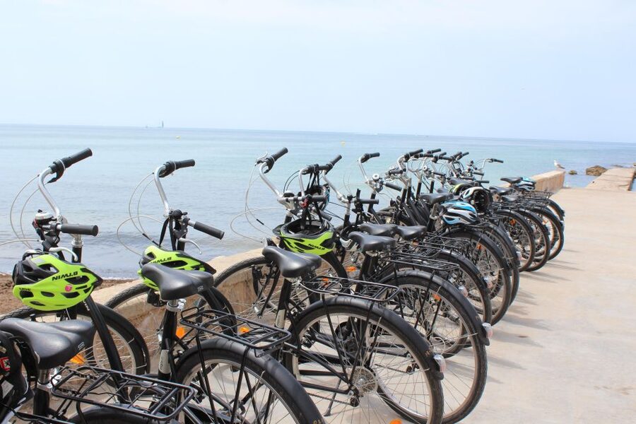 Palma Shore Excursion Bike Tour (Transfer Included) - Price and value: is $109 worth it for a 5-hour shore day?