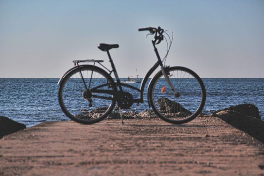 Palma Shore Excursion Bike Tour (Transfer Included) - Parc de la Mar, the waterfront ride, and best photo moments