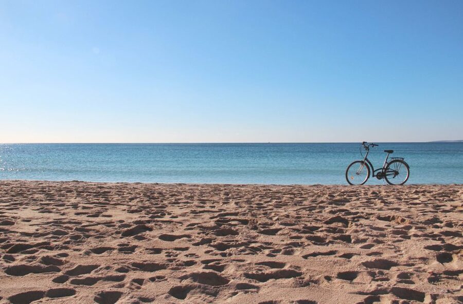 Palma Shore Excursion Bike Tour (Transfer Included) - The 1-hour break at Plaça del Rosari, 4