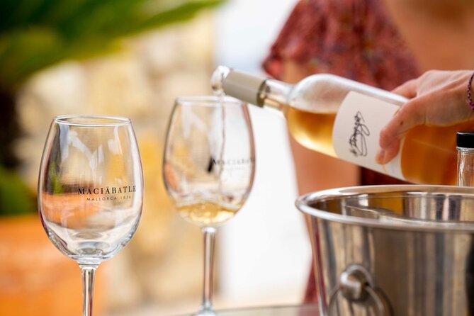 Palma Tapas Tour- The Original! - The guided route, from landmarks to cathedrals and a fortress