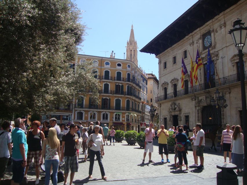 Palma Tour with Wine and Tapas Tasting - The Practical Stuff That Makes Your Tour Better