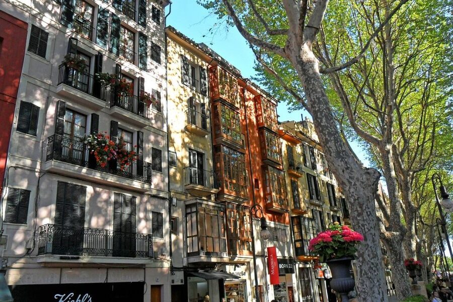 Palma: Walking Tour with Mediterranean Delicacies - Mercat de l’Olivar: how to shop for flavor and then taste it
