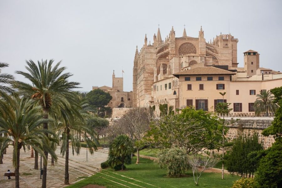 Palma: Walking Tour with Mediterranean Delicacies - Price, time, and why this is good value for a small group