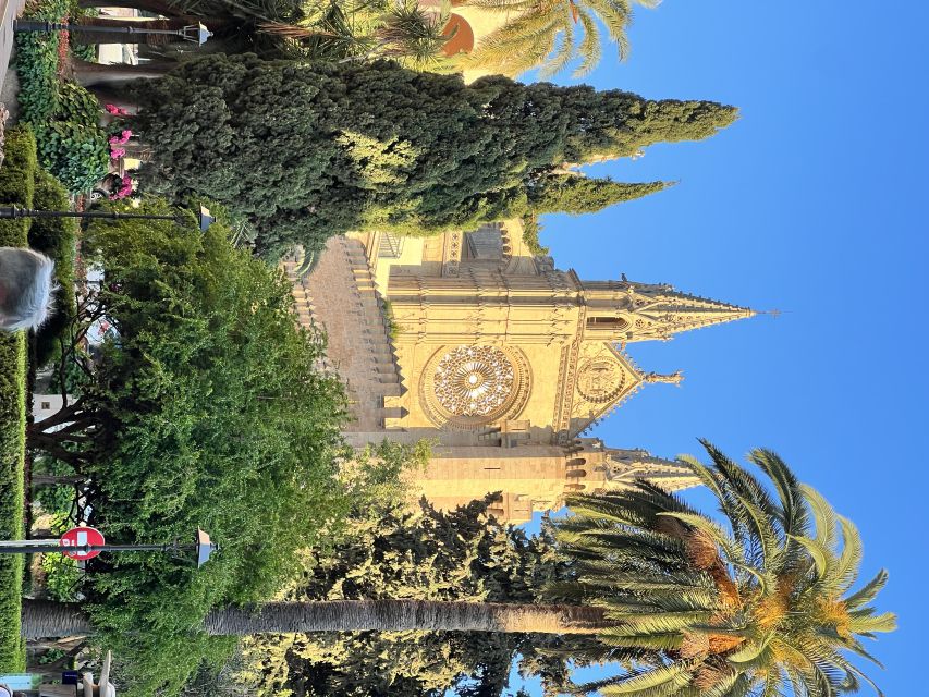 Palmas sightseeing highlights in a private and exclusive way - Royal Gardens and Mallorca’s kings, told in story form