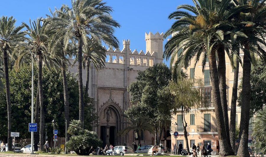 Palmas sightseeing highlights in a private and exclusive way - Language options, pace, and who this tour fits best