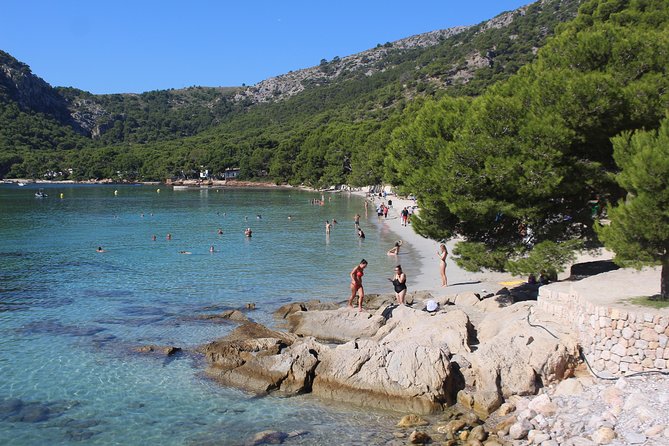 Panoramic Mallorca Boat Trip to Formentor Beach - Crowds, Deck Comfort, and the Reality of a Budget-Friendly Boat Ride