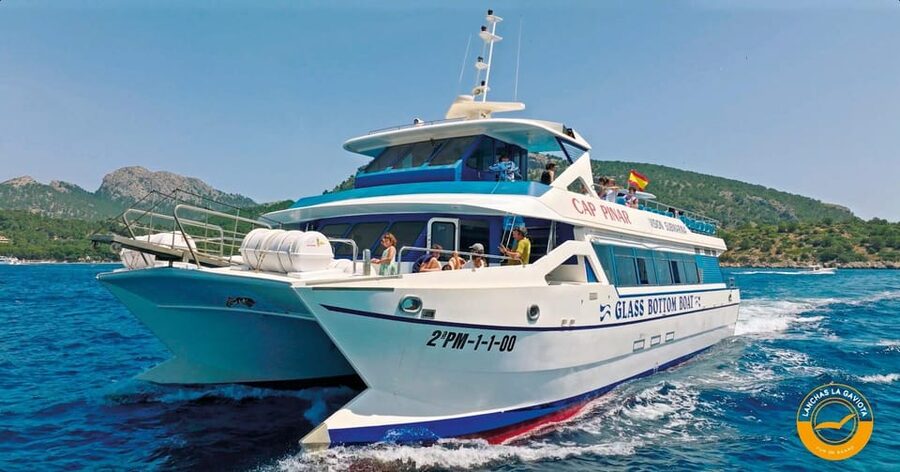 Pollença: Dolphin Watching Boat Excursion - Getting There: Meeting Behind Stay Restaurant and Boarding at Lanchas La Gaviota