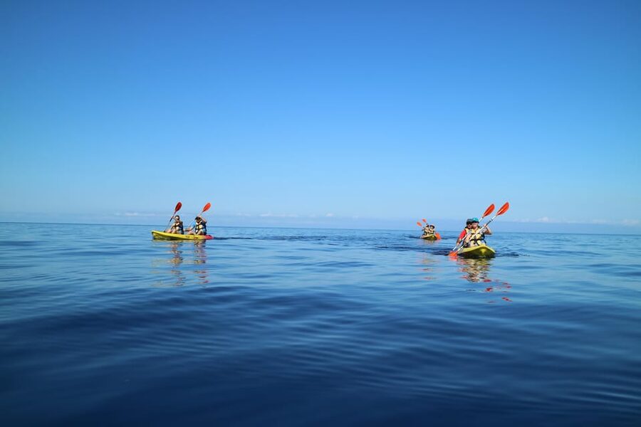 Pollença: Kayak and Coasteering Cliff Jumping - Kayaking Cala Sant Vicenç: your 1.5 km warm-up on open blue water