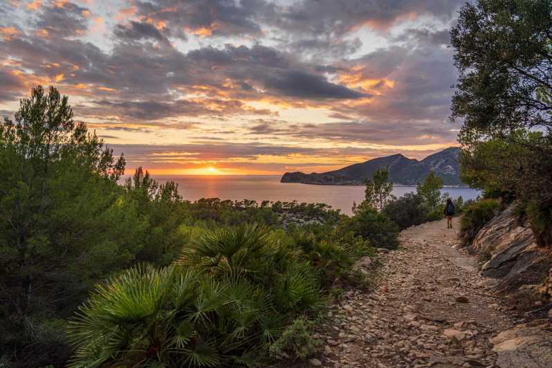 Port Andratx: Guided hiking tour into the sunset to Sant Elm - Meeting point and timing: start in the port, end by the sea