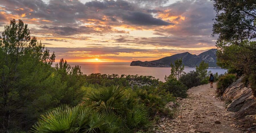 Port Andratx: Guided hiking tour into the sunset to Sant Elm - Stop 1: The start in Port Andratx, where the day shifts gears