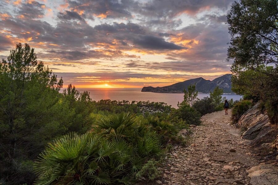 Port Andratx: Guided hiking tour into the sunset to Sant Elm - Stop 3: The sunset viewpoint with picnic, tapas, and drinks
