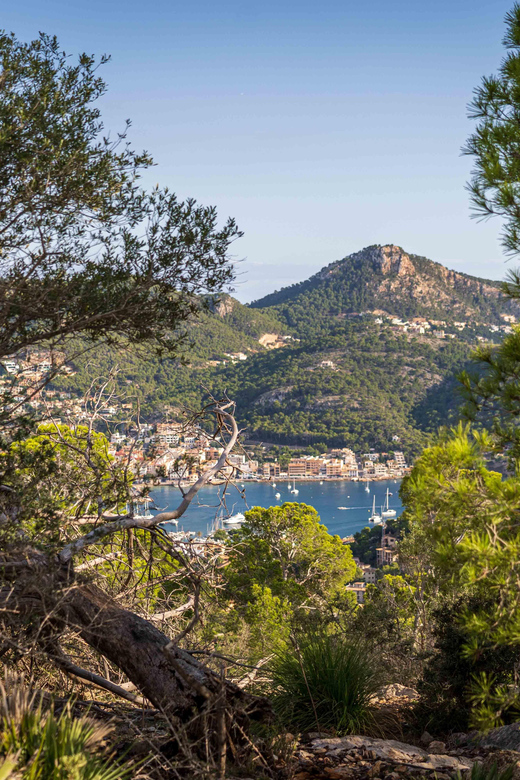 Port Andratx: Guided hiking tour into the sunset to Sant Elm - Stop 4: Twilight descent to Sant Elm, then taxi back
