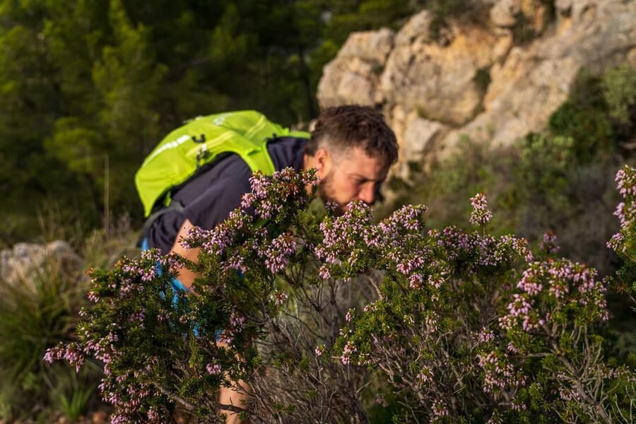 Port Andratx: Guided hiking tour into the sunset to Sant Elm - What the guide adds: history, culture, and useful context