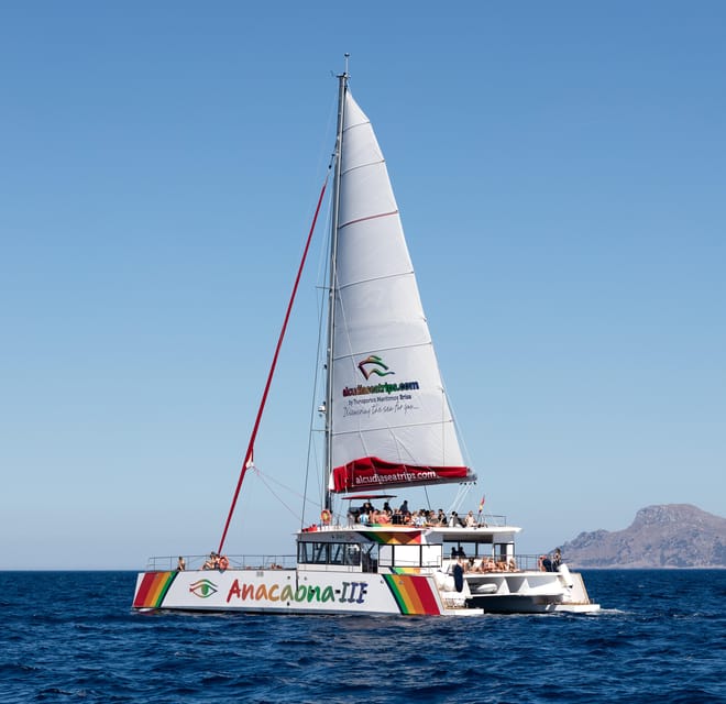Port d'Alcudia: North Coast Catamaran Cruise with Meal - Getting there at Passeig Marítim and what to bring