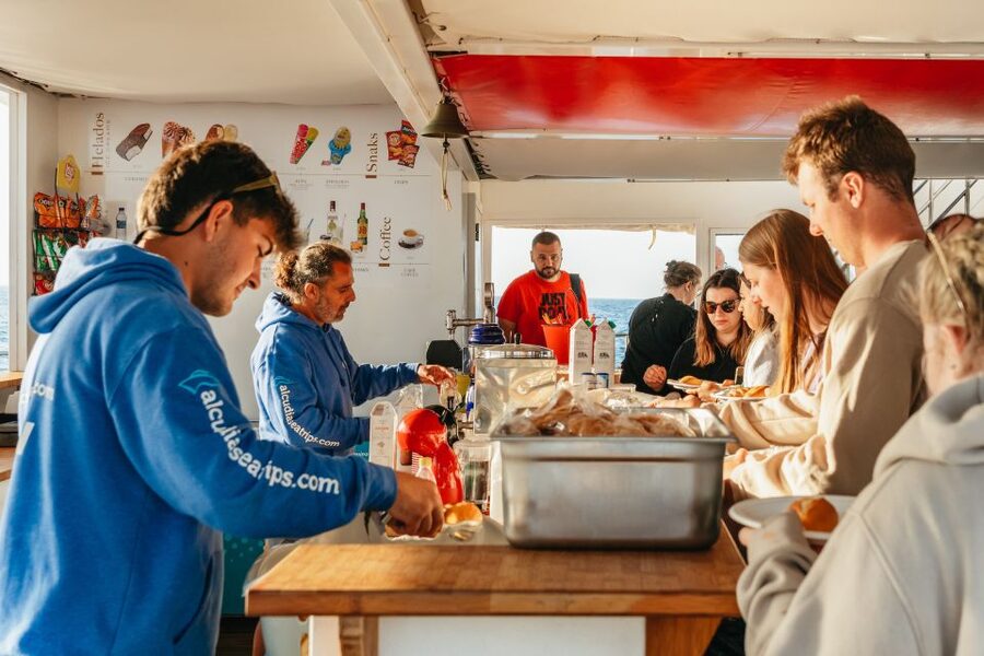 Port d'Alcudia: Sunrise at Sea & Dolphin Watching Boat Tour - FAQ