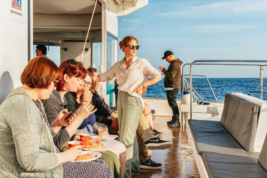 Port d'Alcudia: Sunrise at Sea & Dolphin Watching Boat Tour - Why This Alcúdia Sunrise Boat Trip Feels Like a Special Morning
