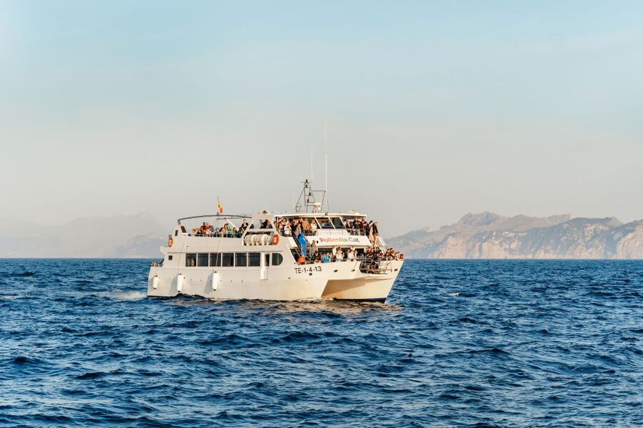 Port d'Alcudia: Sunrise at Sea & Dolphin Watching Boat Tour - The Dark to Dawn Catamaran Cruise