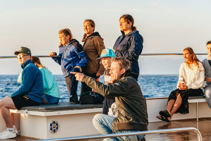 Port d'Alcudia: Sunrise at Sea & Dolphin Watching Boat Tour - Dolphin Watching That Tries Not to Mess With Nature