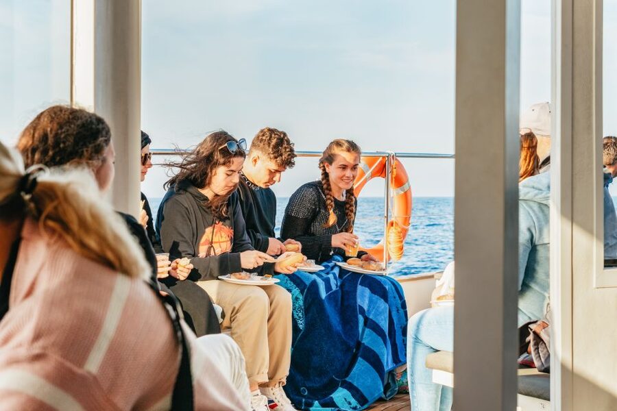 Port d'Alcudia: Sunrise at Sea & Dolphin Watching Boat Tour - Should You Book This 3-Hour Dolphin and Sunrise Tour?
