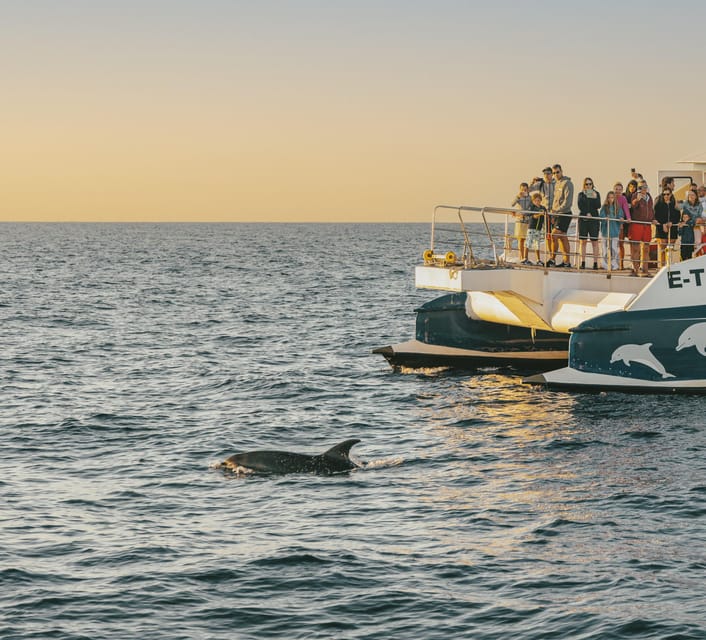 Port d'Alcudia: Sunrise at Sea & Dolphin Watching Boat Tour - Finding the Boat Kiosk at Passeig Marítim