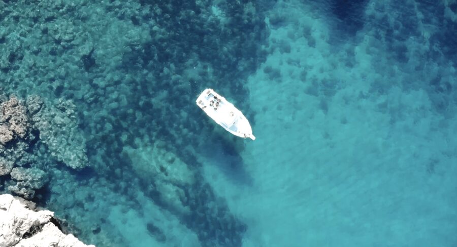 Port de Sóller: Snorkeling Tour with Professional Guide - Morning, afternoon, or sunset snorkeling: how the timing changes the experience