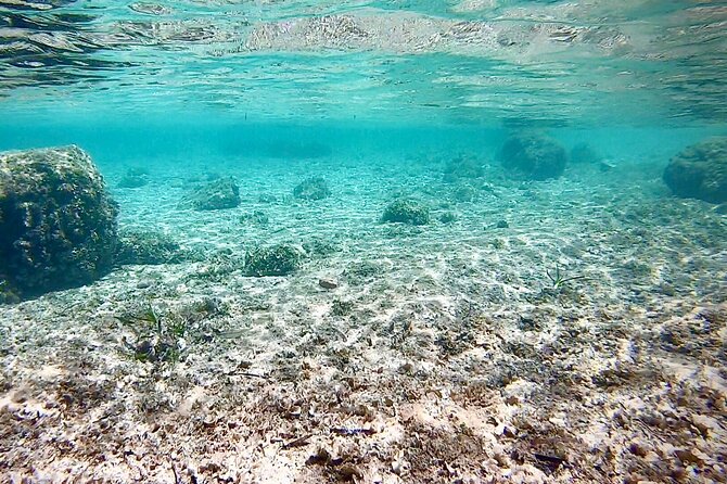Private Boat Tour from Palma with Snorkeling and Paddle Surfing - Price and what you are really buying