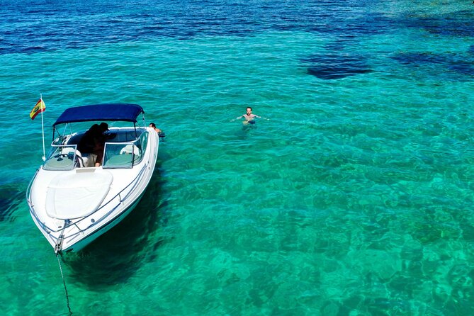 Private boat tour with snorkeling - Getting There at D-Marin Palma Cuarentena (and Returning to the Same Place)