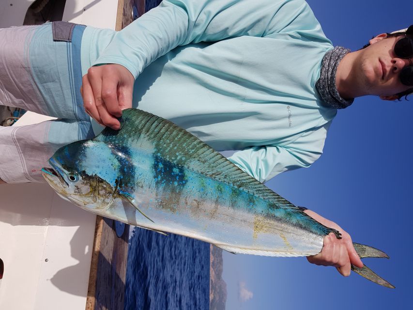 Private Fishing Charter Mallorca - Fishing for Tuna, Marlin, and Dorados: Expectations That Save Your Mood