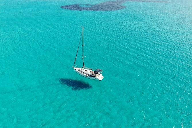Private sailing with Paella and Tapas in Palma - Timings that actually match your vacation: half-day, full day, sunset