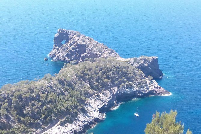 Private tour for my family from a cruise - Key Highlights That Make This Worth Your Time
