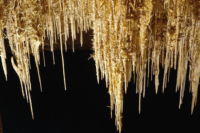 Private Tour: Mallorca Caves of Drach and Majorica Pearl Factory - Boat ride on Lake Martel: short cruise, big atmosphere