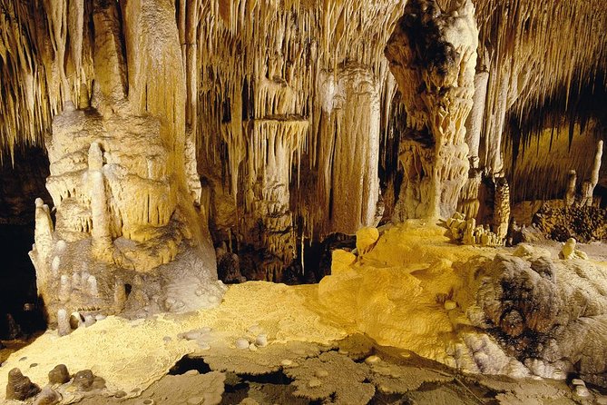 Private Tour: Mallorca Caves of Drach and Majorica Pearl Factory - Logistics that affect comfort: walking, hearing, and timing