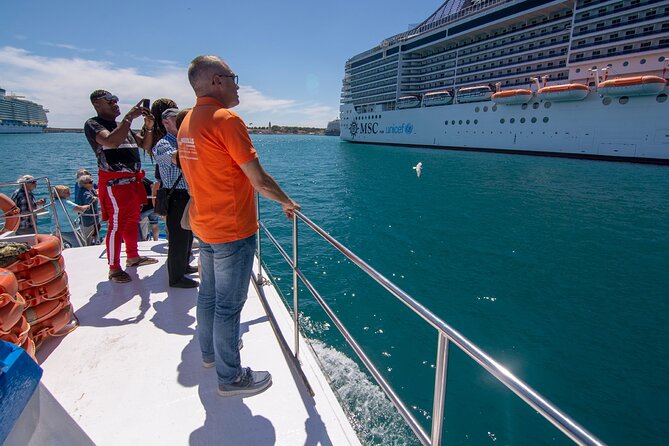 Private Tour: Palma de Mallorca Old Town, Palma Cathedral and Cruise - Almudaina Palace, old walls, and the view that explains Palma’s layout