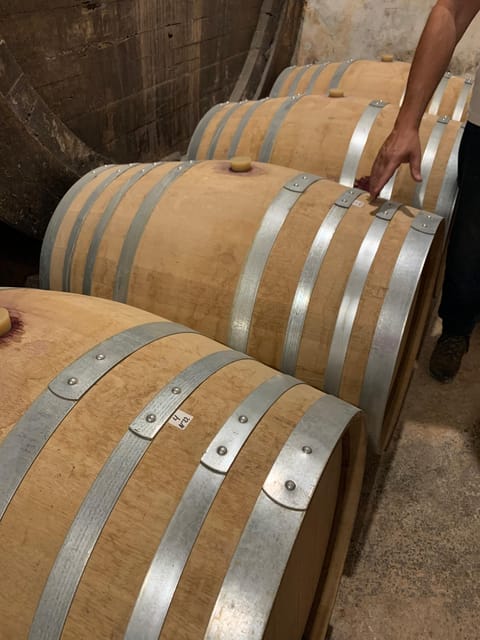 Private tour: Wine and tapas, experience real Mallorca - Key highlights I’d plan around