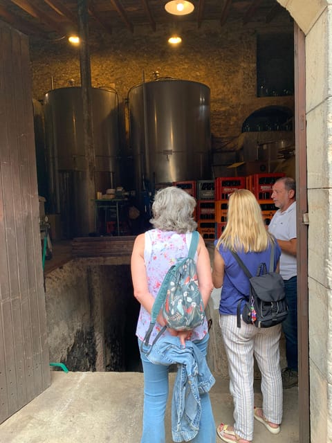 Private tour: Wine and tapas, experience real Mallorca - Why a winemaker-led Mallorca wine and tapas tour feels more real