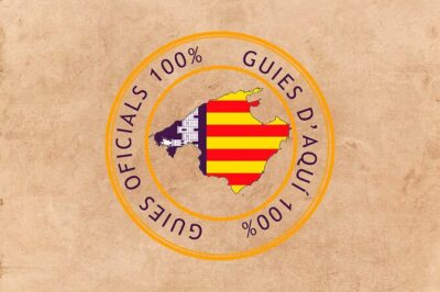 Private walking tour in Palma de Mallorca with local guides.