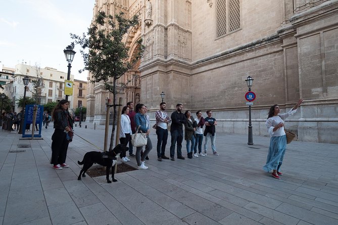 Private walking tour in Palma de Mallorca with local guides. - Jewish quarter context, Xuetas, and the interpretation center visit