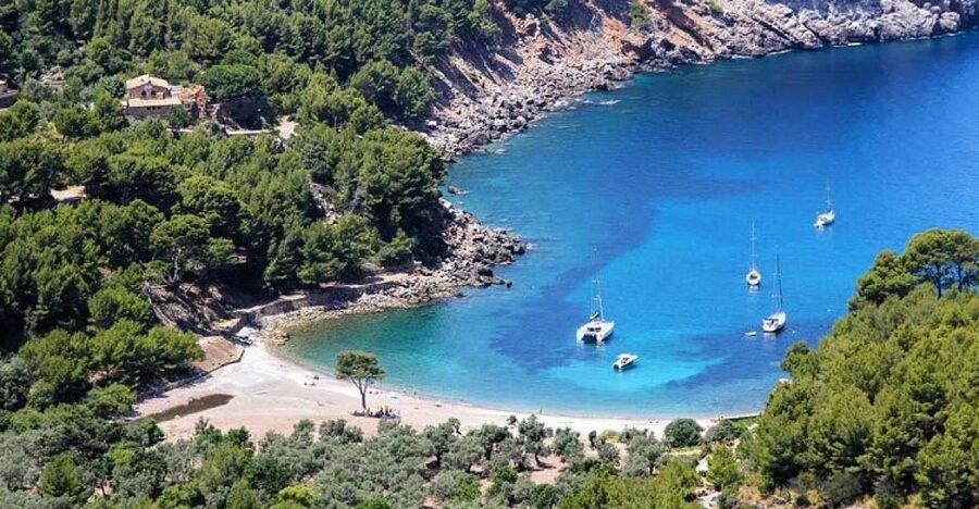 Puerto de Sóller: Cala Tuent Return Boat Trip - Key Things You’ll Notice on This Cala Tuent Boat Trip
