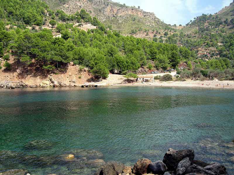 Puerto de Sóller: Cala Tuent Return Boat Trip - Price and Value at About $40 per Person