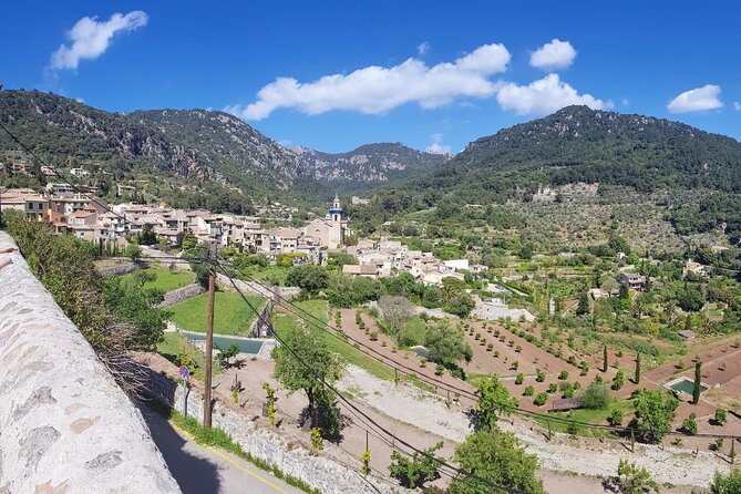 Quad tour from Paguera 3 hours - Andratx viewpoint stop: short, free, and worth the turn