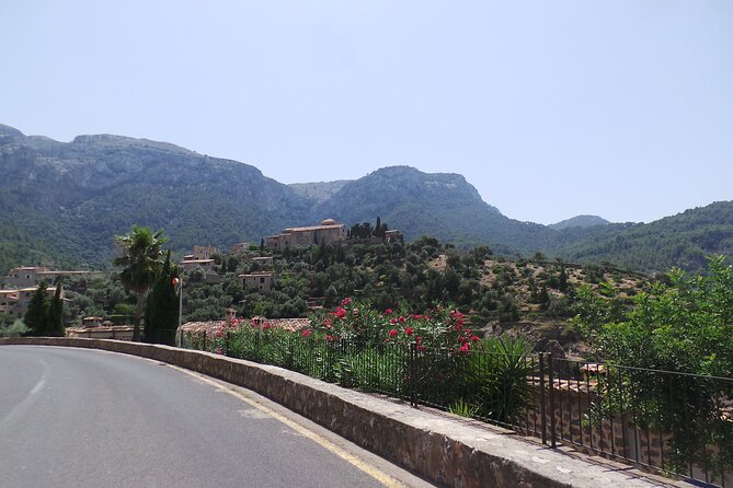 Quad tour from Paguera 3 hours - The meeting point at Bulevar de Peguera, 36: quick start energy
