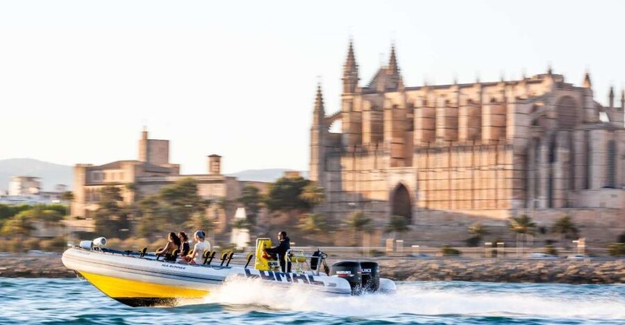 S'Arenal: Boat trip to Illetas with views of Palma - Cala Illetas swim and snorkeling: how to make the most of the water time