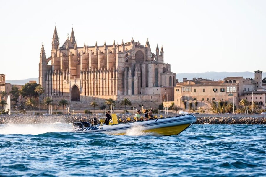 S'Arenal: Boat trip to Illetas with views of Palma - Meeting at Playa del Arenal: the small logistics that keep your day easy